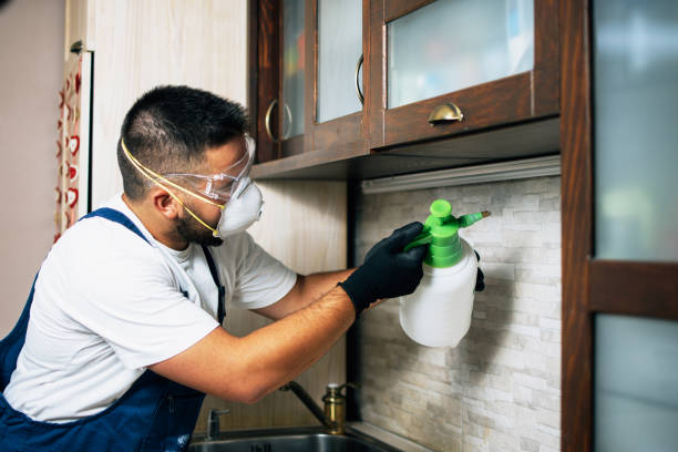 Best Mosquito Control Services  in Hazlehurst, MS