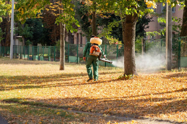 Best Exterminator Services  in Hazlehurst, MS